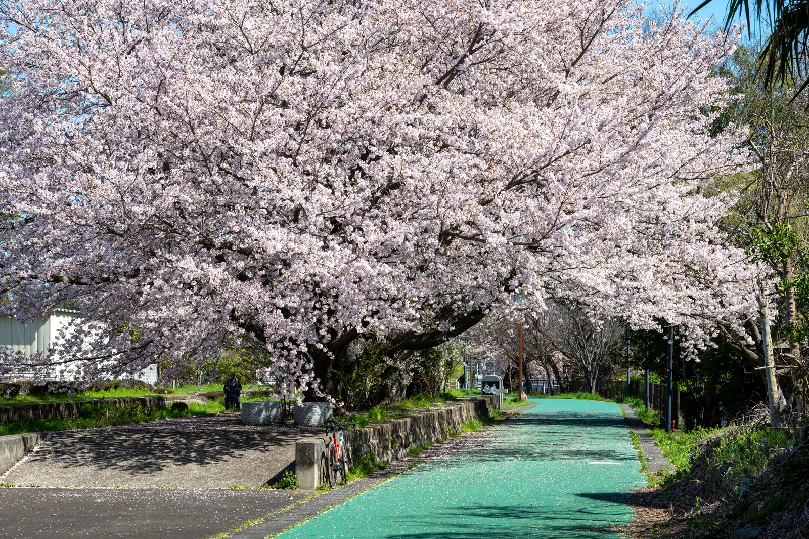 TT Training Spot Near Tokyo: Kasumigaura + Rinrin Road